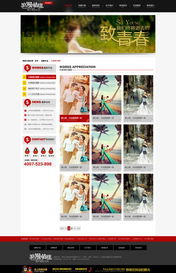 青岛网景 做客户信赖的企业，一站式企业网页设计开发解决方案