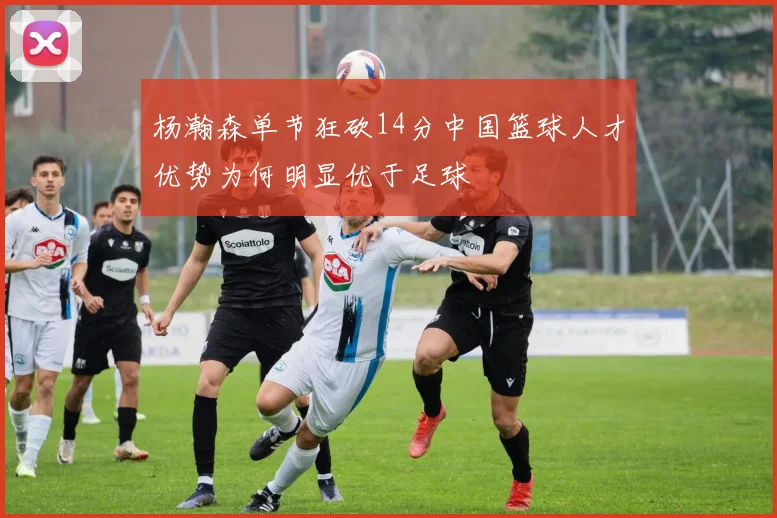 杨瀚森单节狂砍14分中国篮球人才优势为何明显优于足球
